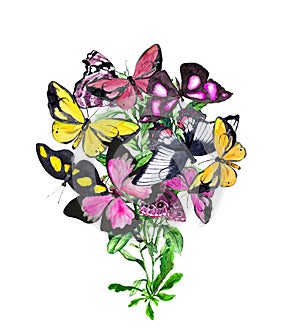 Romantic butterfly bouquet. Beautiful design with flying moths, pink butterflies, flowers. Watercolor card