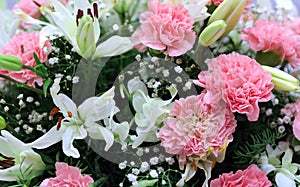 Romantic carnation with lily and filler flower wallpaper