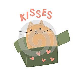 Romantic cat in box for Valentines day card with text kisses. Lovely isolated element, cute vector illustration.