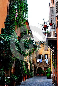 Romantic corner in a street of Trestevere