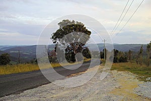 Romantic country road in mountains in New South Wales Australia