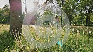 Romantic couple in a beautiful green park with lots of trees and white dandelions in the sunlight. They run, hugging