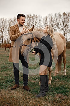 Romantic couple with a brown horse in the field
