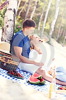Romantic couple having picnic at the beach
