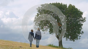 Romantic couple holding hands, walking life journey together, kissing under tree