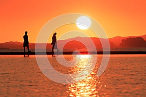 romantic couple in love sitting together on rope swing at sunset beach, silhouettes of young man and woman on holidays or