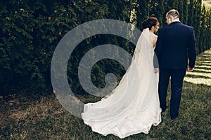 Romantic couple of newlywed holding hands outdoors, handsome groom holding hands with beautiful bride while warking in fir tree