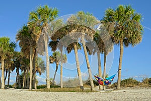 Romantic couple relaxing in tropical hammock.