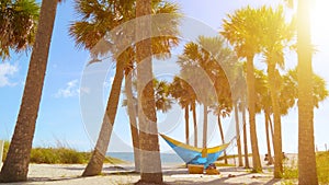 Romantic couple relaxing in tropical hammock.