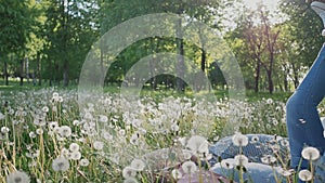 Romantic couple in summer on a glade. They fall into the grass with white dandelions. Happy together. Summer. The sun.