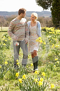 Romantic Couple Walking Amongst Spring Daffodils