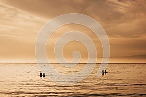 Romantic couples watching sea sunset