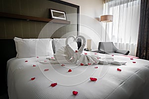 Romantic cozy boutique hotel room getaway with gorgeous swan towels red rose and petals spread on the bed waiting for valentine