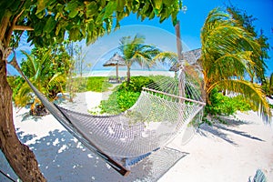 Romantic cozy hammock under coconut palm tree at tropical paradise in bright sunny summer day