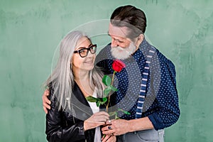 Romantic date, senior couple with a red rose in love. Senior handsome bearded man offering a rose to his partner