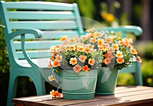 Romantic detail of the watering can with beautiful flowers on a garden bench, to beautify the garden
