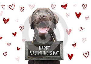 Romantic dog with text happy valentines day on wooden board with cute hand drawn hearts on white background for 14 february photo