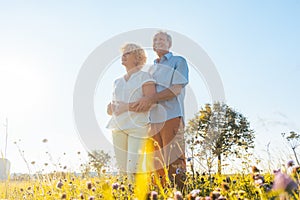 Romantic elderly couple enjoying health and nature in a sunny day of summer photo