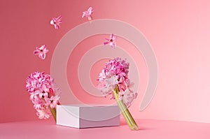 Romantic elegance white square podium with levitate spring hyacinth flowers as arch in sunlight on soft light pastel pink.