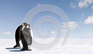Romantic Emperor penguins photo