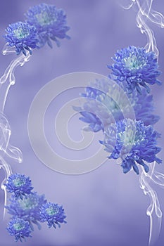 Romantic floral background with daisy flowers in very peri tonality