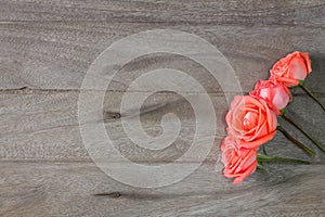 Romantic floral frame background. Valentines day background.