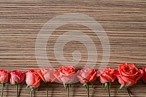 Romantic floral frame background. Valentines day background.