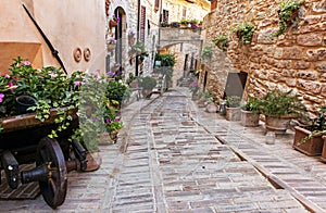 Romantic floral street in Spello, medieval town in Umbria, Italy. Famous for narrow lanes and balconies and windows with flowers