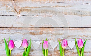 Romantic flower background with pink tulips and white wooden hearts border