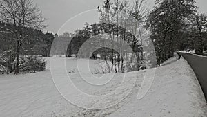 Romantic forest with untouched nature