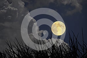 Romantic full moon with white clouds in blue sky