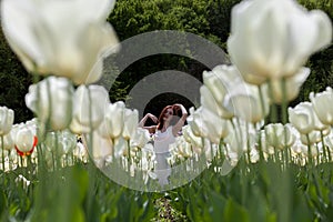 Romantic gorgeous woman in flower field