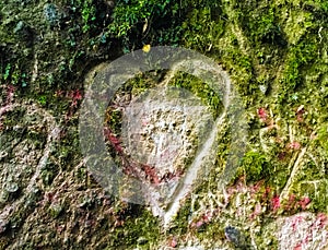 Cuore scolpito pagina da montagna 