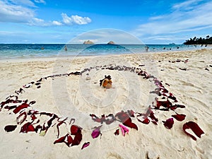 Romantic heart of rose petals with a chicken toy in the middle on the beach on a sunny day