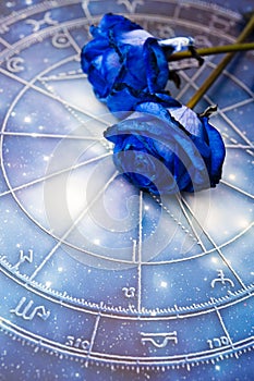 Oroscopo bellissimo blu rose Come zodiaco un 