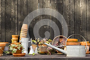 Romantic idyllic plant table in the garden with old retro flower pot pots, tools and plants