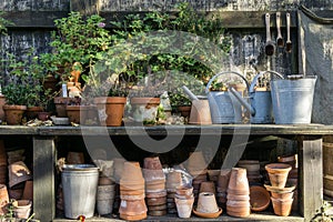 Romantic idyllic plant table in the garden with old retro flower pot pots, tools and plants