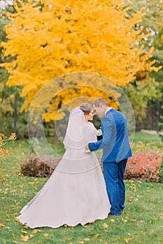 Romantic kiss of newly married couple in sunny park. Groom is gently holding his elegant bride