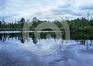 Romantic Landscape of photography of forest and lake in skovde sweden. photo