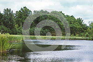 Romantic Landscape of photography of forest and lake in skovde sweden. photo