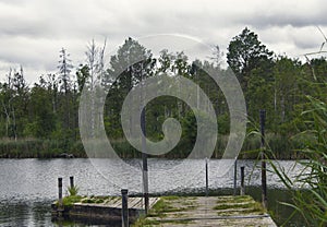 Romantic Landscape of photography of forest and lake in skovde sweden. photo