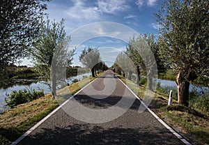 Romantic lane with beautiful trees and canal waterways