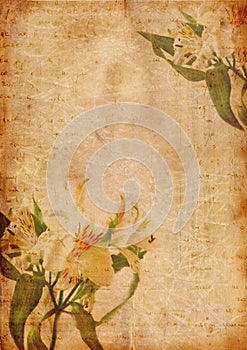 Romantic letter series