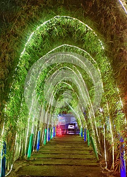 Romantic Light tunnel walk arround with you