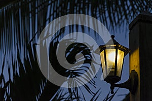 Romantic light under palm tree