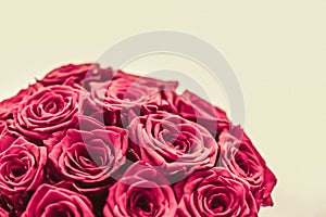Romantic luxury bouquet of pink roses, flowers in bloom as floral holiday background