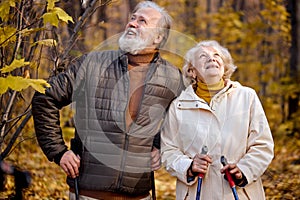 Romantic mature couple enjoying the moment of love in park, nordic walking at autumn day