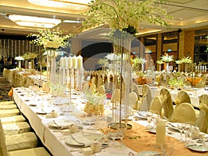 A romantic and memorable wedding held in the ballr