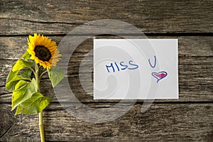 Romantic Miss u message next to a beautiful sunflower