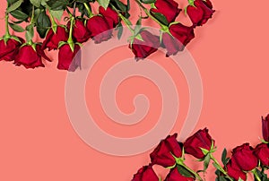 Romantic mockup. Floral frame made of beautiful large red roses on coral colored background. Space for your text. Top view.